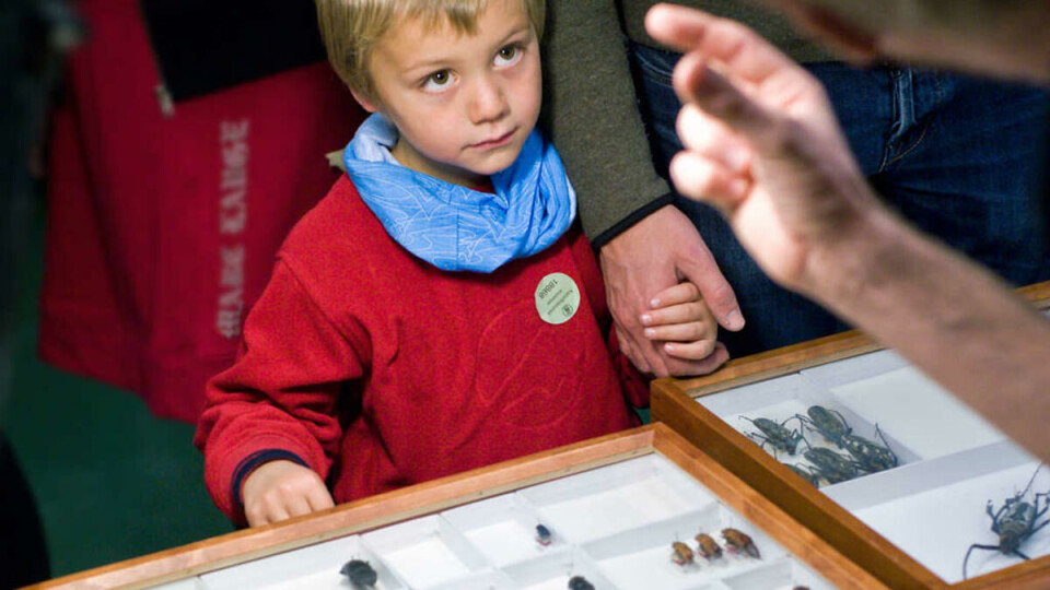 FREMTIDIG ENTOLOG? Ikke alle barna viste en slik entusiasme for insektsøndag som Peder Wik Aalrust.