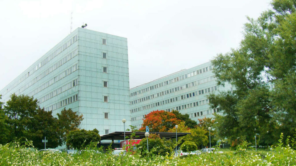 MINTGRØNT OG FRISKT UNIVERSITET: Fenomenet drivhuseffekten ble oppdaget på Stockholms Universitet.