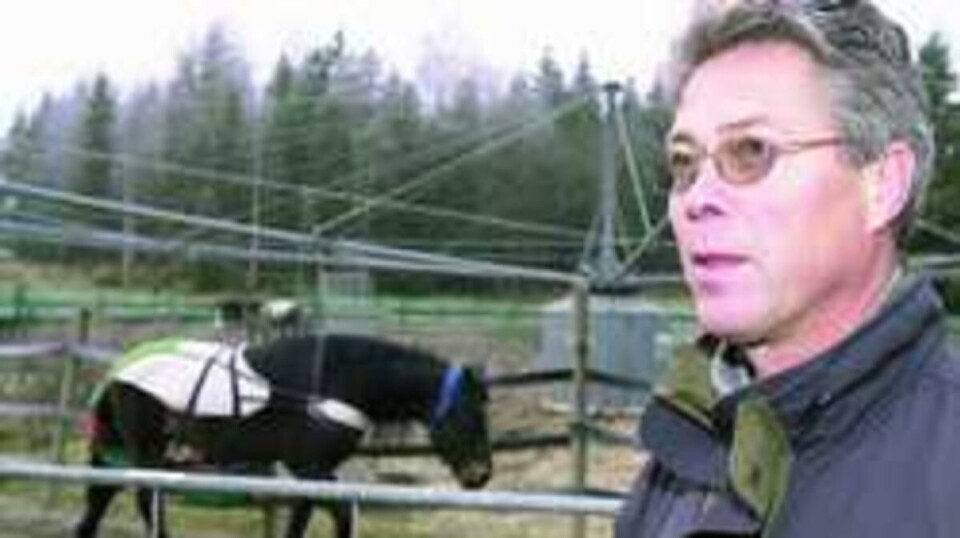 Hester omkom i dyreforsøk