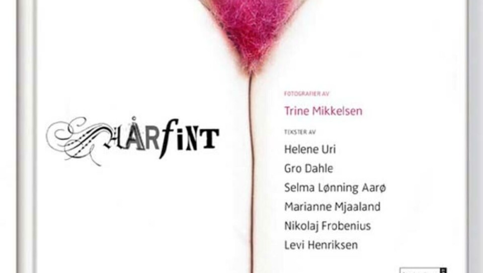Ny frisyre til helga? Da anbefales boka _Hårfint_. Du kommer garantert til å vekke oppsikt!
