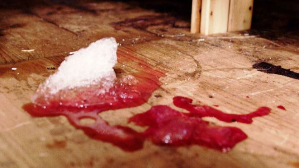 BLODIG SLUSH: Ingredienser: Is, smeltevann, blod av ukjent art.