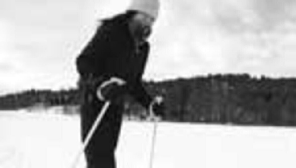 Skikurs i nordavind