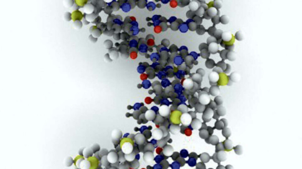 SKAPER AREAL-TRØBBEL: DNA-analyser.