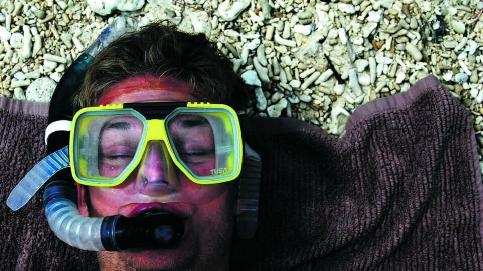 SNORKLING ELLER STUDIER? Norske studenter i utlandet ute etter mer enn eventyr og sprell, mener kronikkforfatteren.