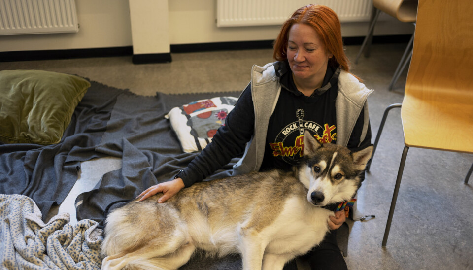Matmor: Ann-Jeanette Friberg er hundeinstruktør og terapihund fører og har tatt med Marve for å møte studentene.