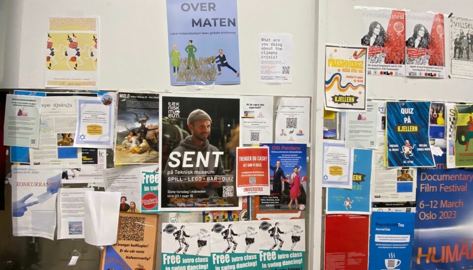 The bulletin board by BunnPris in Frederikke can be a good place to find job postings. Photo: Valerie Borey