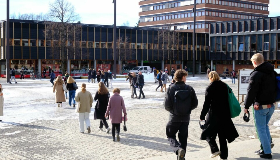 Blindern, the University of Oslo main campus.