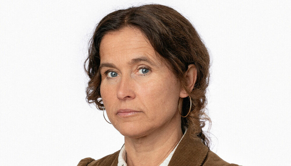 Russlandforsker: Julie Wilhelmsen, forsker ved og leder i Norsk utenrikspolitisk institutt (Nupi)