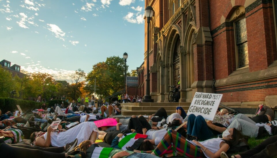 Strid: Pro-palestinske protester ved Harvard har skapt splittelse på campus.