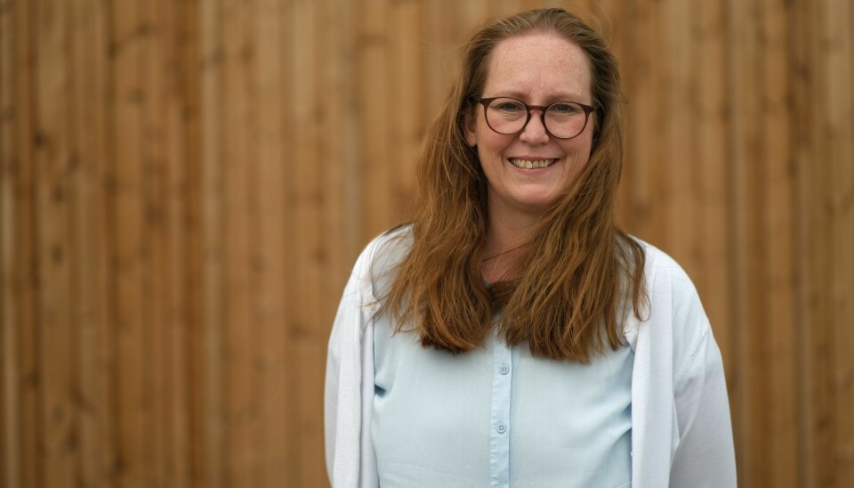 Fuskeoppvask: Stortingsrepresentant for Arbeiderpartiet Lise Selnes er fornøyd med det nye lovforslaget.