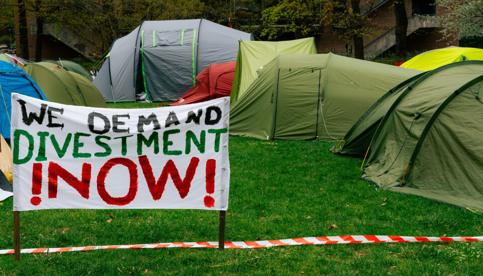 LEIRPLASS: Flere telt har dukket opp foran Villa Eika på Blindern til støtte for Palestina. Studentene har klare mål for demostrasjonen.