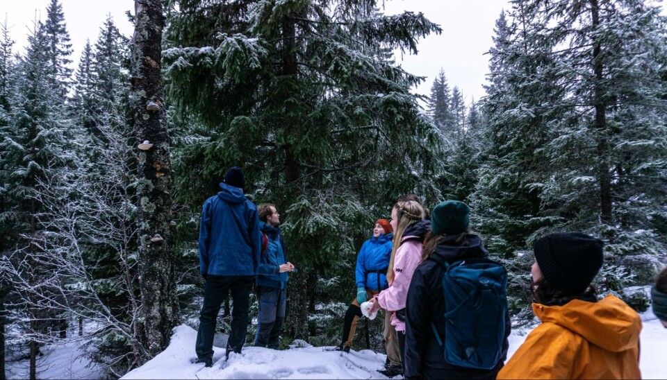 Some of the landscapes you can see on a cabin trip.