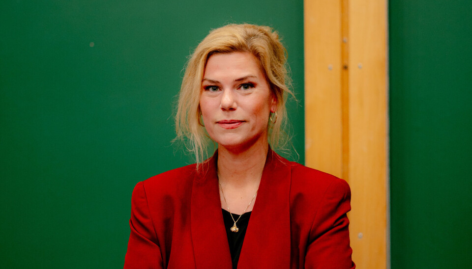 Demokratiekspert: Jette Christensen, statsviter, forfatter og tidligere AP-topp.