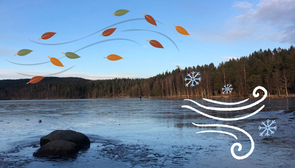 Stick season at Songsvann Lake.