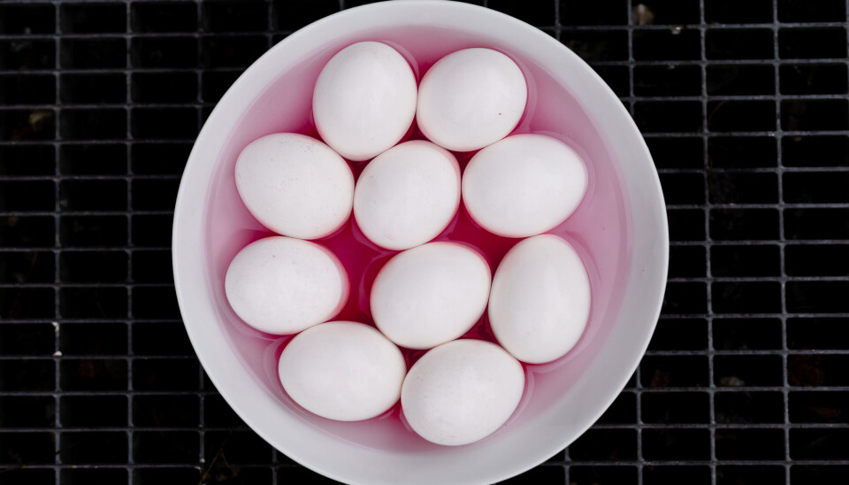 Ikke i kartong: Kvinner som donerer egg må gjennomgå en hormonkur og ta ut eggene kirurgisk