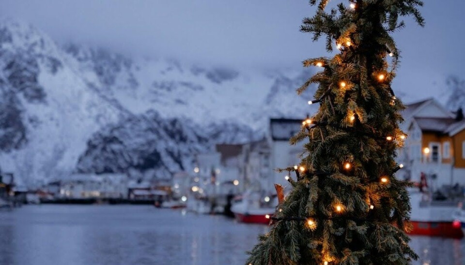 Christmas Tree in the Harbour of Henningsvær.