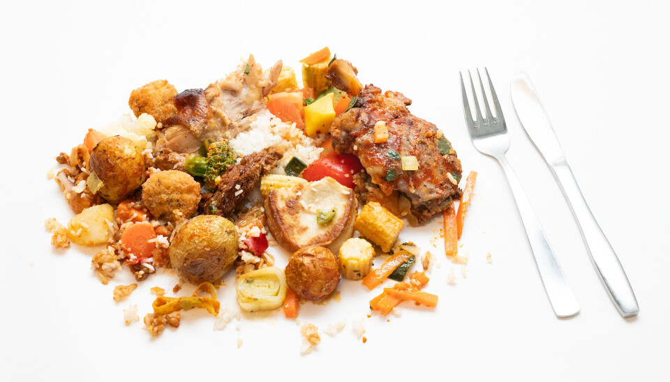 IKKE GOURMET: Velferdstinget mener at maten i SiO-kantinene bør bli enklere, slik at prisene kan presses ned.