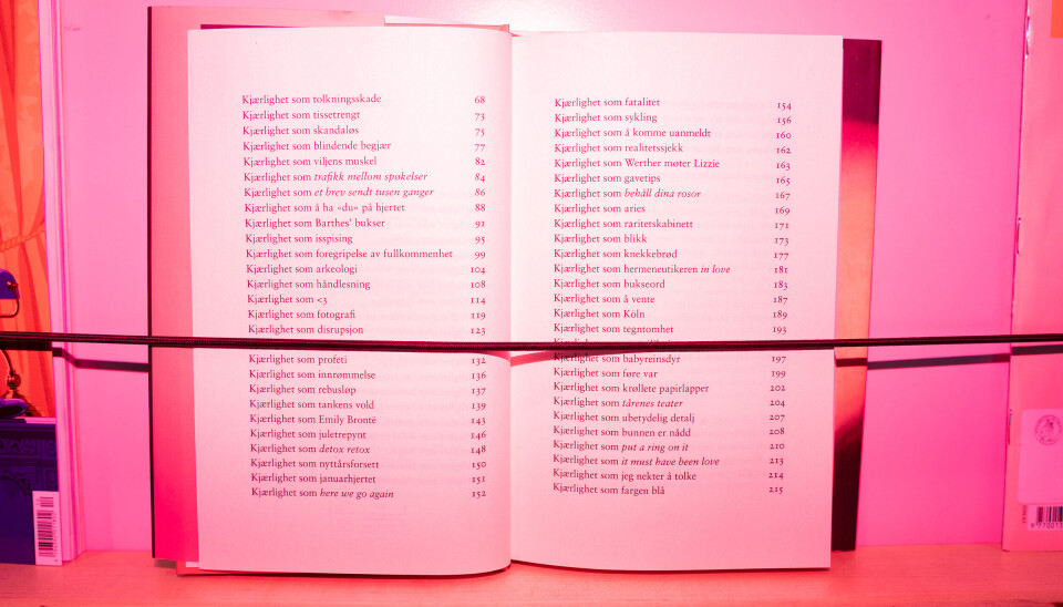 GUIDE: Innholdsfortegnelsen i Gina Tandbergs debutroman og relative selvhjelpsbok.