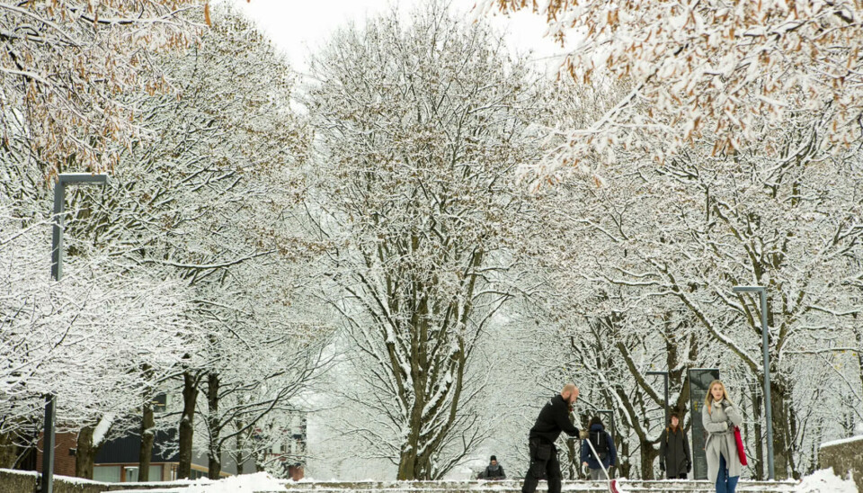 BRRR: Vinteren har tatt over Blindern, og da må studentene tilpasse seg. Eller?