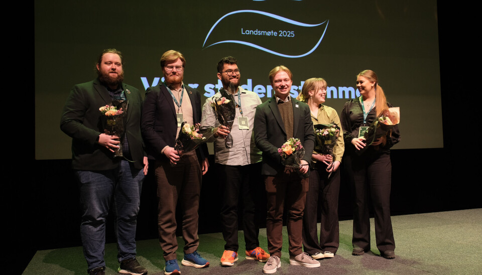 Nytt arbeidsutvalg: Arbeidsutvalget jobber fulltid med å fremme studenters interesser