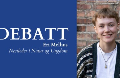 Kraftivrige politikere