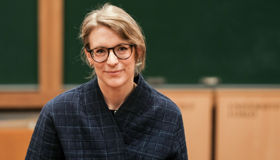 FAGLIG TYNGDE: Kari Elisabeth Kaski mener fagene hun tok på Blindern kom godt med som finanspolitiker.