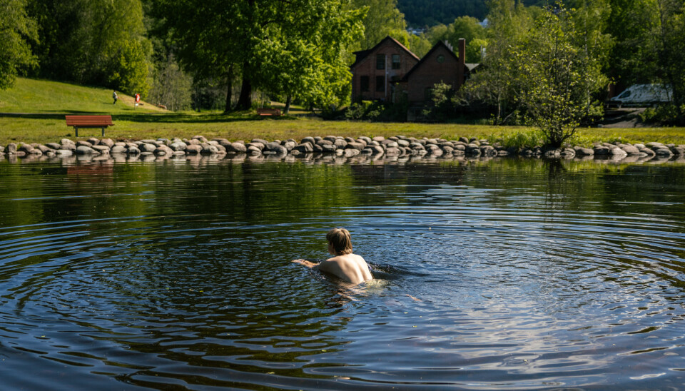 TIL SVØMS: På Frysja kan du svømme både medstrøms og motstrøms.