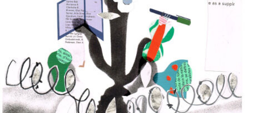 Degrees of Freedom: Education behind the Prison Walls