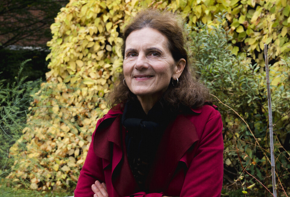 Fra å støtte Israel, til å bli stemplet som antisemitt