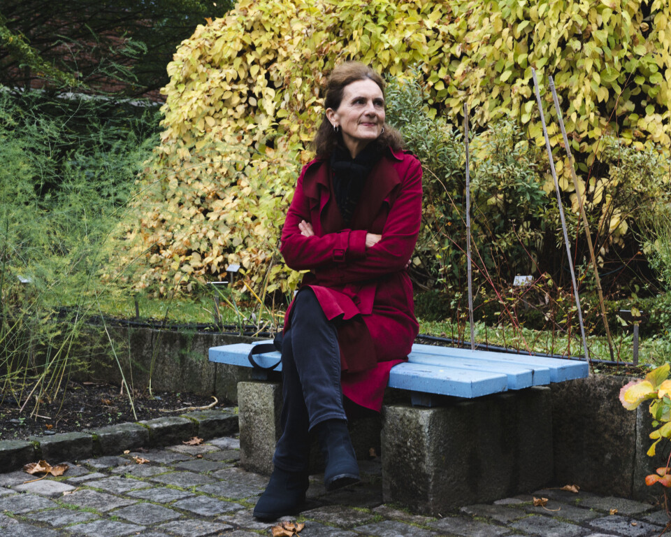 NY BOK: Sidsel Wold er i disse dager aktuell med boken «Israel – et land i kamp med seg selv», som handler om Israels dype og indre splittelser.