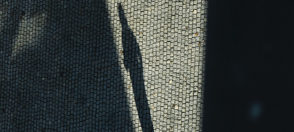 Betent konflikt på UiO – kvinnelig student skal ha forfulgt foreleser i årevis